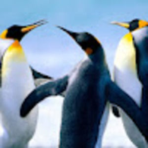 Meet your Posher, Bhavna